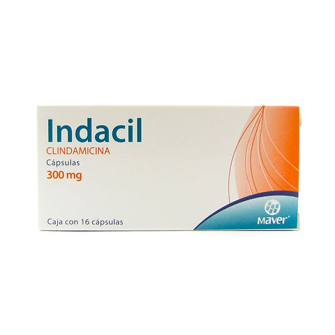 INDACIL c/16 CAPS. 300 MG.