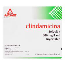 CLINDAMICINA (Amsa) Sol. Iny. c/5 AMPTAS. 600 MG/4 ML.