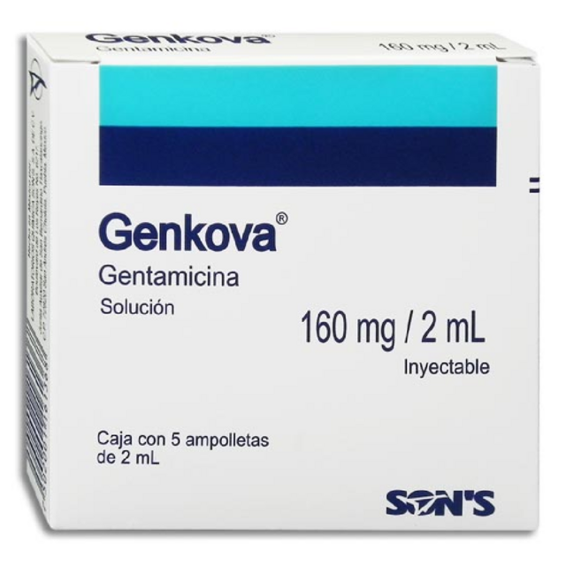 GENKOVA Sol. Iny. c/5 AMPTAS. 160 MG/2 ML.