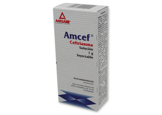 AMCEF Sol. Iny. IV. c/1 FCO. AMP. 1 G/10 ML.