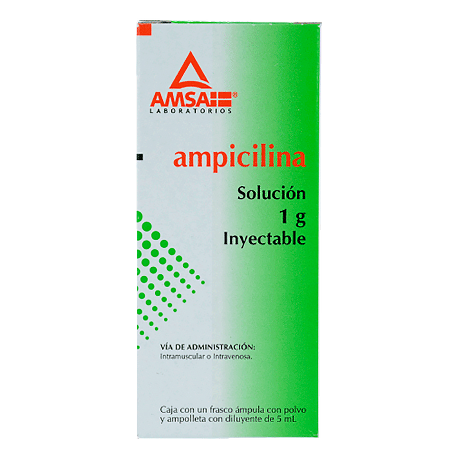 AMPICILINA (Amsa) Sol. Iny. c/1 FCO. AMP. 1 G/5 ML.