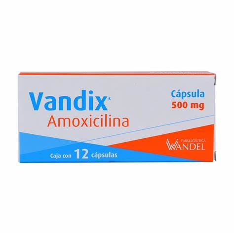 VANDIX c/12 CAPS. 500 MG.