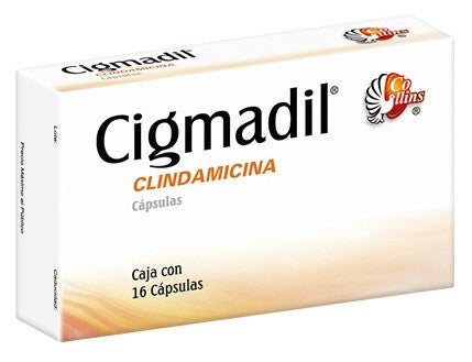 CIGMADIL c/16 CAPS. 300 MG.