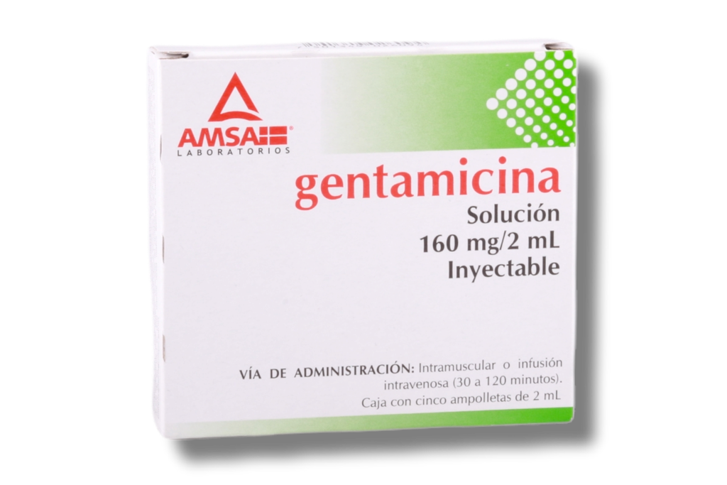 GENTAMICINA (Amsa) Sol. Iny. c/5 AMPTAS. 160 MG/2 ML..