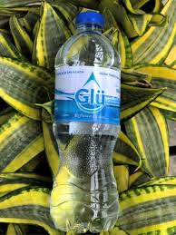 GLU AGUA PURIFICADA Paq. c/6 FCOS. 500 ML.