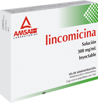 LINCOMICINA (Amsa) Sol. Iny. c/6 AMPTAS. 300 MG/1 ML..